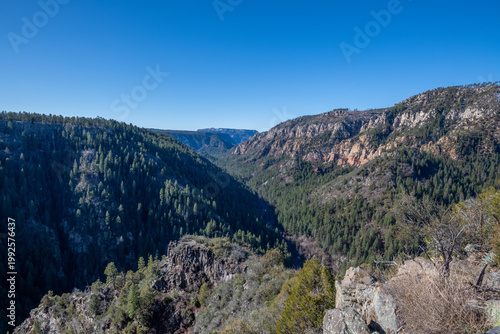 Lush Green Forest and Deep Valley of Oak Creek Canyon in Arizona