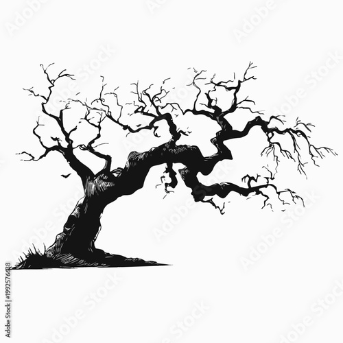 A spooky bare tree with twisted branches and a crooked trunk standing alone in a desolate landscape