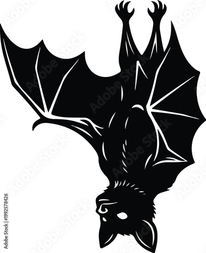 Black Bat Hanging Upside Down.
