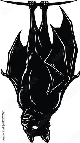 Black Bat Hanging Upside Down Illustration.