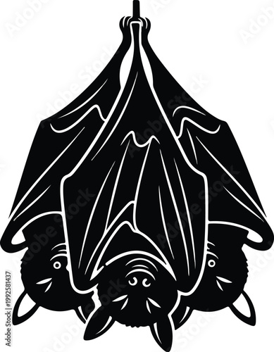 Three bats hanging upside down.