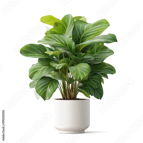 Lush indoor plant in white ceramic pot showcasing vibrant green leaves and modern aesthetics