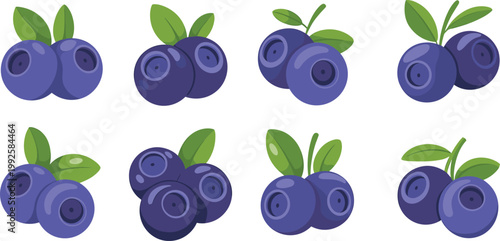 Blueberry fruit set illustration, fresh organic berry collection, healthy antioxidant food icons, natural vegan ingredient, farm produce, flat vector design
