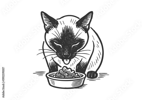 Siamese Cat hand drawn simple sketch vector illustration