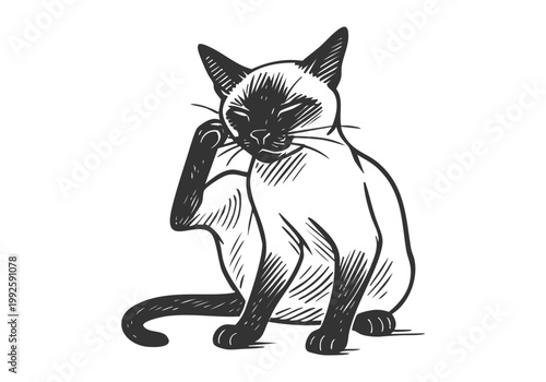 Siamese Cat hand drawn simple sketch vector illustration