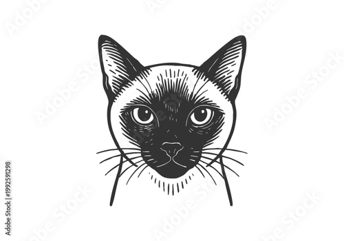 Siamese Cat hand drawn simple sketch vector illustration
