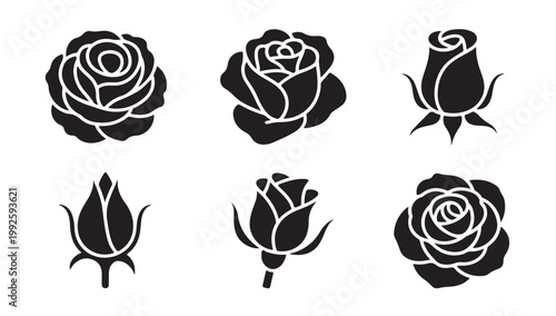 Rose varieties and silhouettes vector collection artistic floral graphic elements.