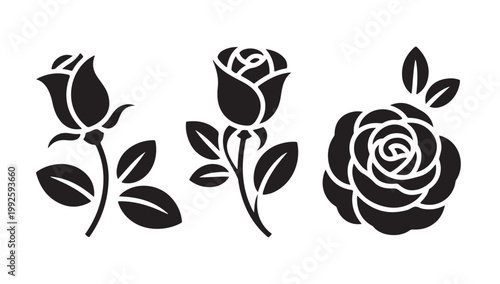 Collection of stylized black roses and leaves isolated on white background vector.
