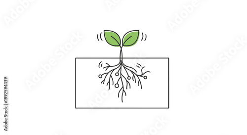 Growing seedling with vibrant roots in soil, symbolizing growth, new beginnings, and nature's power.