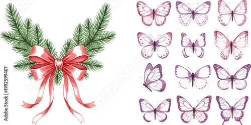 Elegant Christmas Pine Branch Bow Ribbon and Colorful Butterfly Collection Vector Illustration Set for Holiday Design