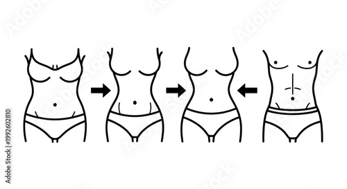 Sequential waist transformation diagram demonstrating body silhouette changes and contours across a stylized female figure.