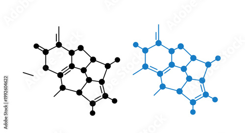 Side-by-Side Illustration of Two Molecular Structures in Black and Blue.