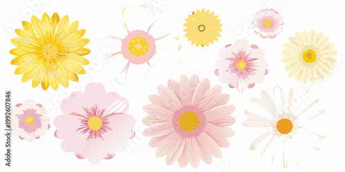 Watercolor flowers in shades of yellow pink and white are displayed