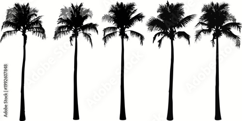 Silhouettes of five palm trees against a plain white background