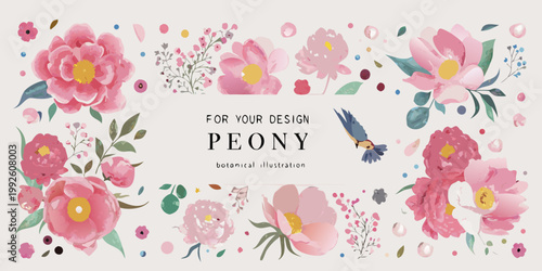 Watercolor floral arrangement featuring pink peonies and delicate botanical details