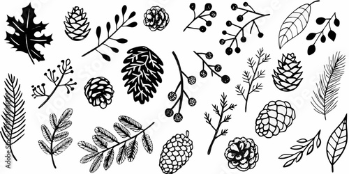 Black and white botanical illustration featuring leaves pinecones and branches