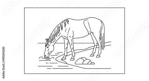 Line Drawing of a Horse Drinking Water from a Stream in a Natural Landscape