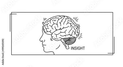 Human Brain with Insight Text - Symbol of Idea, Knowledge, and Mental Clarity