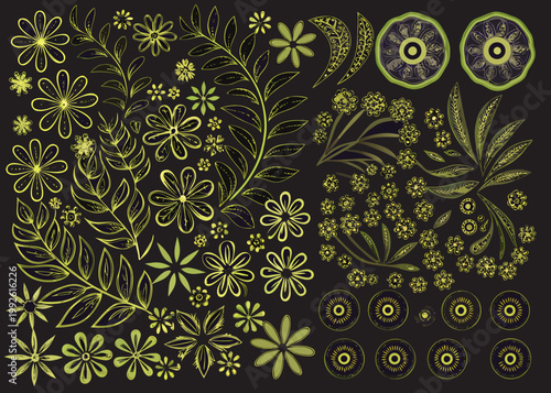 Botanical illustration featuring various flowers leaves and citrus slices