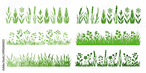 Watercolor illustration of various green grasses and flowering meadow plants