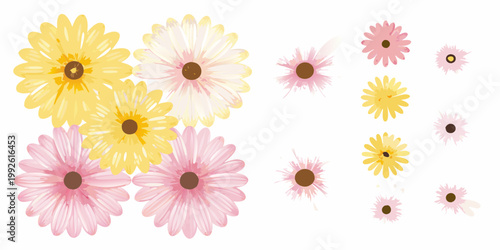 A vibrant collection of watercolor daisy flowers in varying shades
