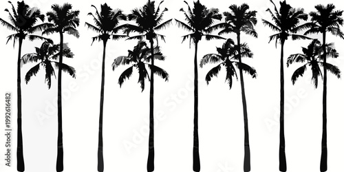 Silhouetted palm trees against a bright white sky create a tropical scene