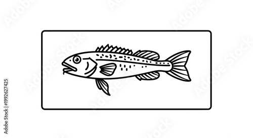 Line Art Illustration of a Cod Fish, Ocean Dweller, Seafood Ingredient