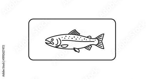 Line Art Illustration of a Salmon Fish, Isolated on White Background