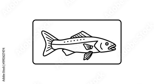 Line Art Illustration of a Salmon Fish, Simple and Clean Design