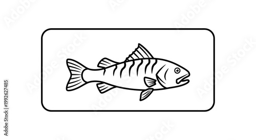 Line Art Illustration of a Salmon Fish, Vector Graphic