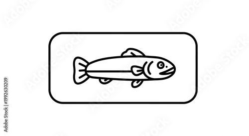 Simple Line Art Icon of a Trout Fish in a Rectangle Frame