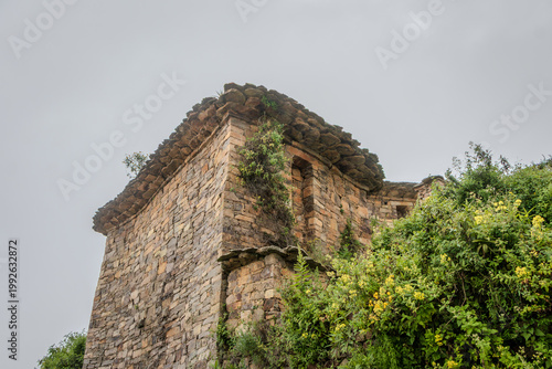 Ancient Stone House Corner with Vegetation in Mountain Landscape
