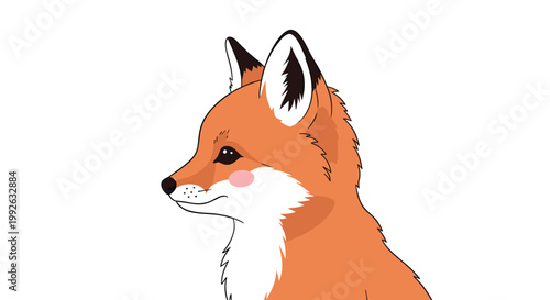 Detailed portrait of a red fox in profile shows its head and neck with soft fur textures and gentle features on white background.