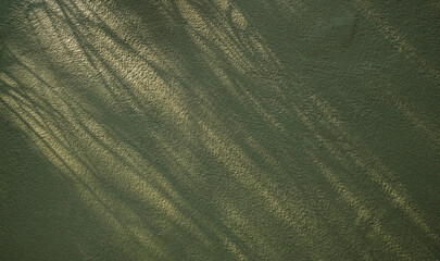 Green wall texture with soft natural sunlight and plant shadow patterns. Minimal abstract background with organic light and shadow for design use.