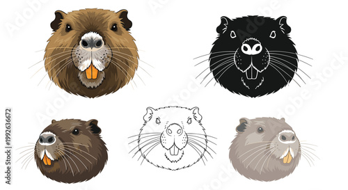 Collection of five beaver head illustrations including a realistic version, silhouette, line art, and variants.