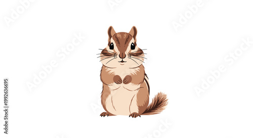 Detailed and realistic illustration of a chipmunk sitting and looking forward on a clean white background.
