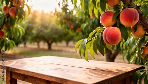 Peach Orchard Table: The sun-kissed branches of a peach tree, laden with ripe, juicy peaches, frame a rustic wooden table, creating a scene of warmth, abundance, and the simple pleasures of nature.