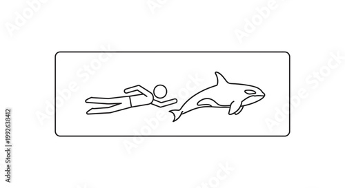 Orca Whale Chasing a Swimmer in Ocean Water - Outline Illustration