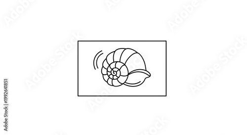 Snail Shell Spiral Outline Vector Illustration