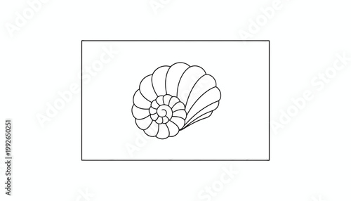 Nautilus Shell Spiral Outline Drawing