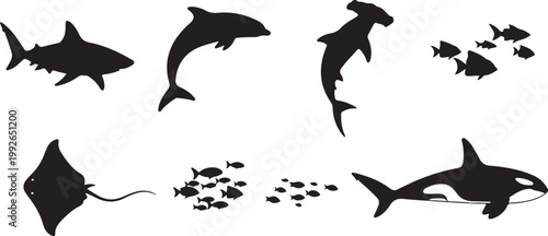 Oceanic marine life icons, sea creatures silhouettes, black animal shapes, vector set