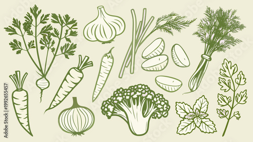 Sketch of various fresh vegetables including carrots broccoli and herbs
