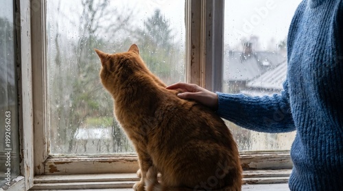 A person gently pets an orange cat sitting on a windowsill, looking out a rainy window.