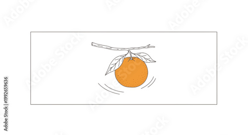 Orange fruit hanging on a branch with leaves, gently swinging, simple line art