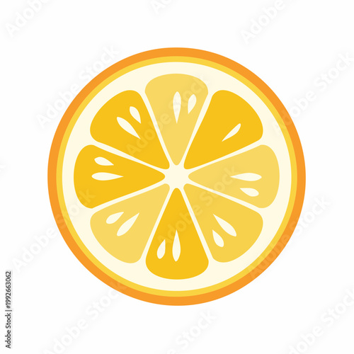Fresh Orange Slice