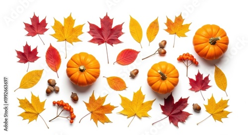 Autumn harvest celebration with pumpkins, acorns, and vibrant fall leaves isolated on white background