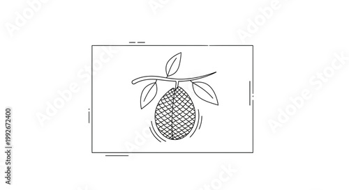 Pinecone hanging from branch with leaves, simple line drawing, black and white