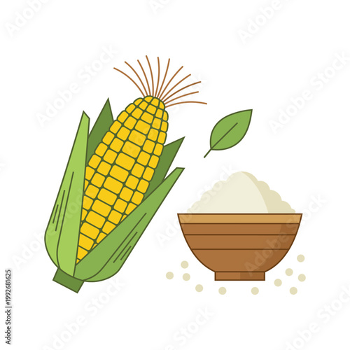 Fresh corn on the cob with a bowl of cornmeal. Vibrant vector illustration of maize, ingredients for cooking