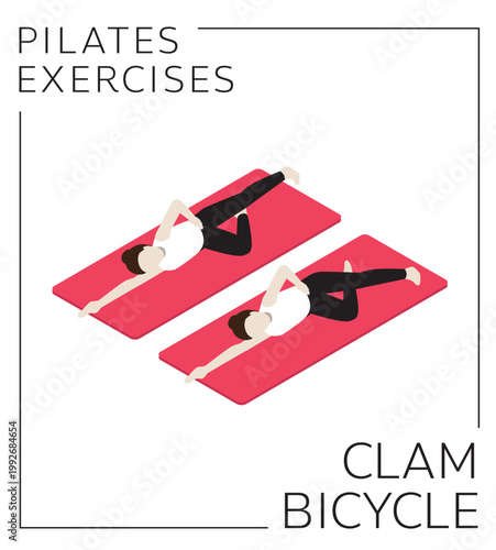 Pilates Clam Bicycle Exercise Isometric Vector