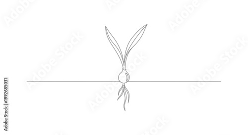 Single line drawing of a sprouting bulb with roots and leaves emerging from the soil